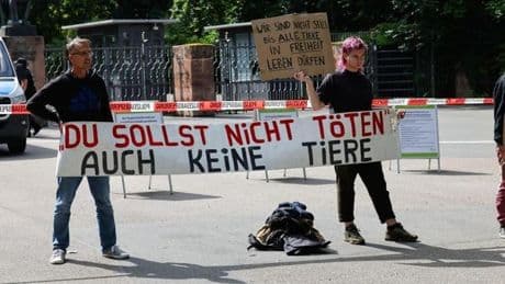 Tiergarten tötet zwölf Paviane – Protest legt Anlage lahm