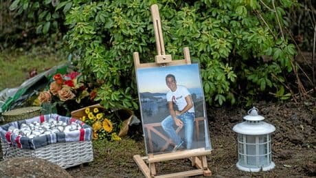 « Fauché par la haine antisémite » : indignation après l’abattage de l’olivier rendant hommage à Ilan Halimi