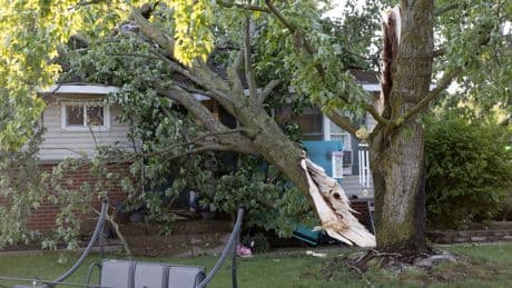 Severe thunderstorms down trees, knock out power to thousands across parts of Great Lakes region