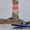 REPORTAGE. « Ils chassent la nuit » : balade en mer d’Iroise à l’affût des phoques et dauphins