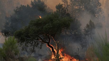 Portugal : un pompier meurt en combattant un incendie