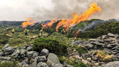 La pretensión de la Fiscalía de perseguir la falta de planes contra incendios choca con el vacío en las leyes autonómicas
