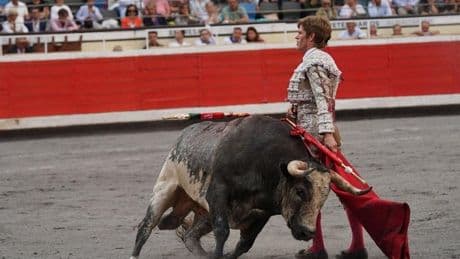 'Tapaboca', el toro indultado, se recupera ya en una finca de Córdoba