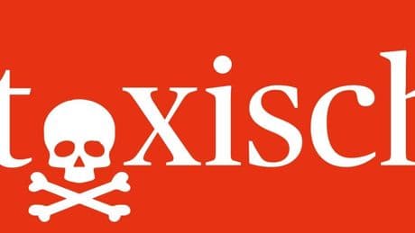 Neusser Experte ordnet Begriffe ein: Toxisch, Narzisst, Borderline – wenn Diagnosen zu Schimpfwörtern werden