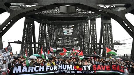 Sydney Harbour Bridge pro-Palestine protest so busy it was 'perilous', police chief says