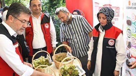 Bakan Yumaklı: Fındıktaki zirai dondan kaynaklı zarar için 2,3 milyar lira tazminat ödenecek