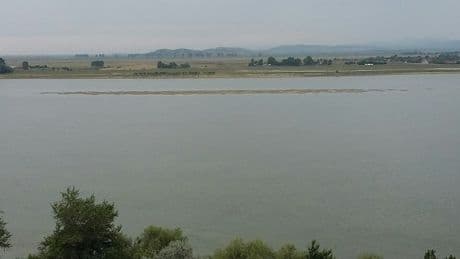 Cuatro muertos, entre ellos un niño de 10 años, al hundirse un barco turístico en el Danubio en Rumanía