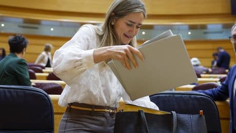 España paga 23,5 millones a la japonesa JCG en su primera indemnización por el recorte a las renovables