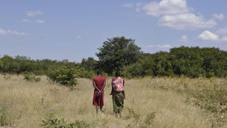 Les Africains désignent leurs gouvernements comme principaux responsables de l'action climatique