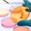 Na 15 jaar kritiek trekt Science artikel in over unieke arseenbacterie