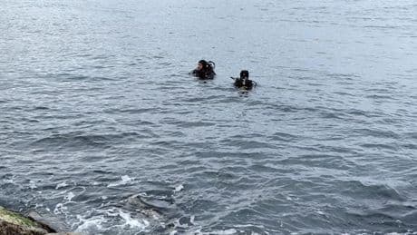 Denizde kaybolan Toprak için arama çalışmalarında 2'nci gün