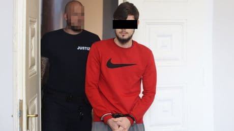Er stand nackt im Wald - Mann zerrt Reiterin vom Pferd, will sie vergewaltigen