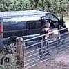 Moment 'shameless' pair are seen 'raiding honesty box for cash and duck eggs'