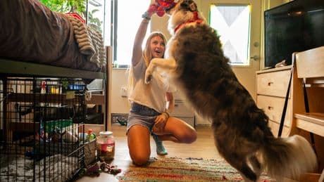 Inside the colleges with support pets for students