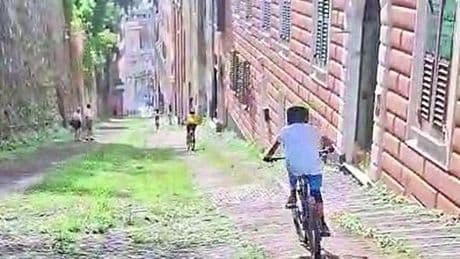 Discese folli in bicicletta imitando la Cerra Abajo. Polizia locale in allerta: “Vietate, faremo multe”