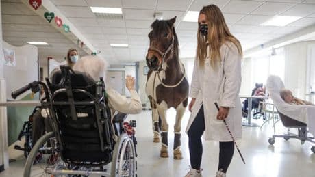 Accueil des animaux en Ehpad, quelles sont les conditions ?