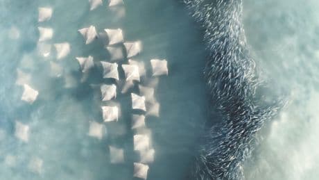 See the winners of the International Aerial Photographer of the Year Competition: Photos