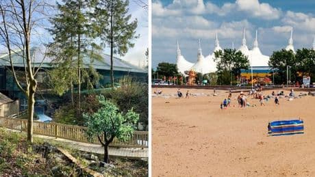 'I compared Center Parcs to Butlin's and there's only one obvious verdict'