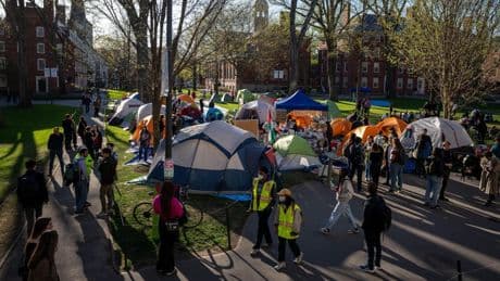 Más de 1.000 estudiantes internacionales han visto revocadas sus visas o su estatus legal