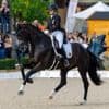 Europameisterschaft: Werth scheitert bei Dressur-EM erneut am 10. Einzel-Gold