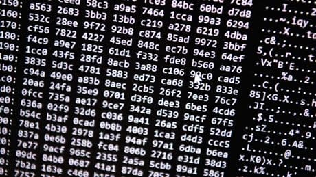 IT-Sicherheit: Passwörter von Landtagsabgeordneten im Darknet entdeckt