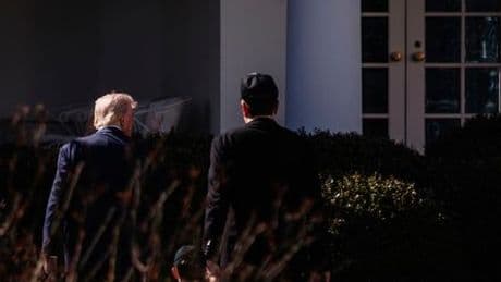 Elon Musk gegen Donald Trump: Der Streit zwischen Reichtum und Macht