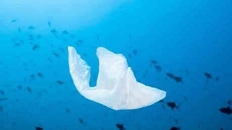 Umwelt: Wurde der größte Teil des Plastiks im Ozean bislang übersehen?