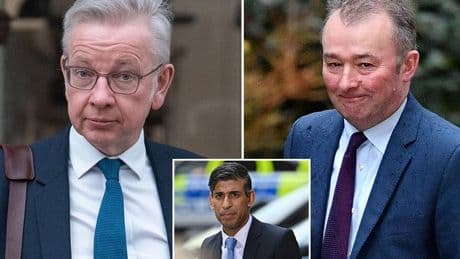 Michael Gove and Tory who made astonishing brothel claim to be made a Lord
