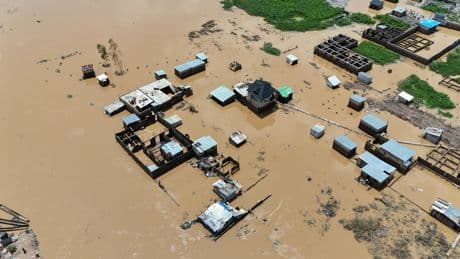 Les banques mondiales revoient à la baisse leurs objectifs pour le climat