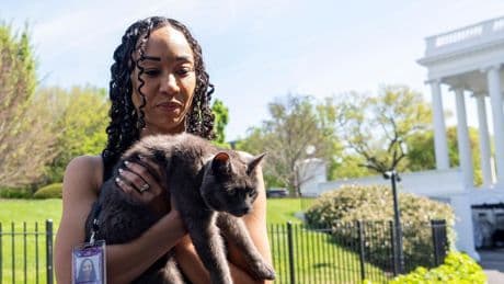 USA: Katze auf Abwegen sorgt für Wirbel im Weißen Haus