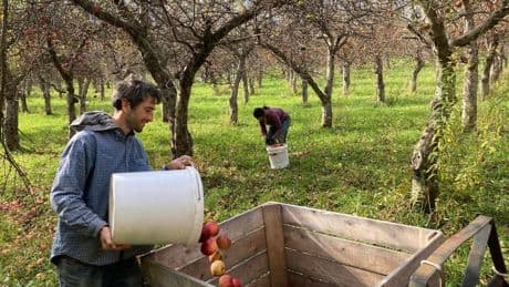 Unique Ciders That Are Perfect For Spring