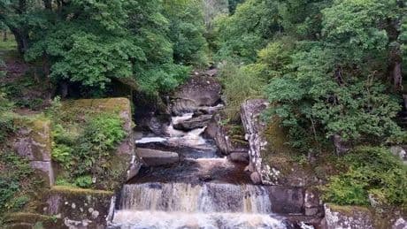 Bereaved families invited to join scenic Callander walk in memory of loved ones