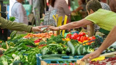 Ernährung: Woher unser Gemüse kommt