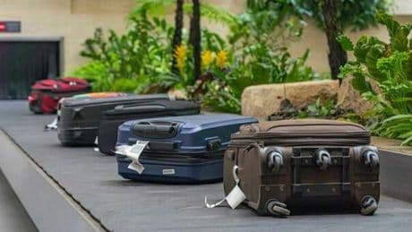Valigie, incubo agli aeroporti: raddoppiati i bagagli perdute. Disservizi in aumento nell'ultimo anno