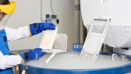 Ricostruzione del seno dopo un tumore, così la crioconservazione del grasso migliora gli esiti