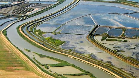 A piedi o in bicicletta lungo tre itinerari del Delta del Po