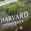 Beteiligte an Pro-Palästina-Demos: US-Regierung verlangt von Harvard Informationen über ausländische Studierende