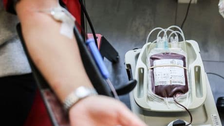 Forscher testen synthetisches Blut - Brauchen wir bald keine Blutspender mehr?