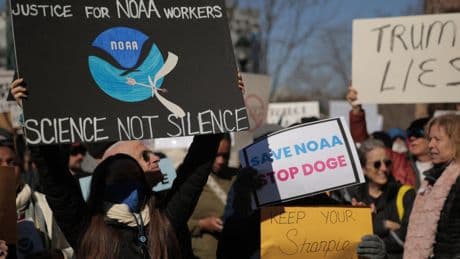 États-Unis: face à Donald Trump, les scientifiques font de la résistance