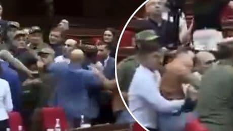 Chaos in parlement: leden vliegen elkaar in de haren