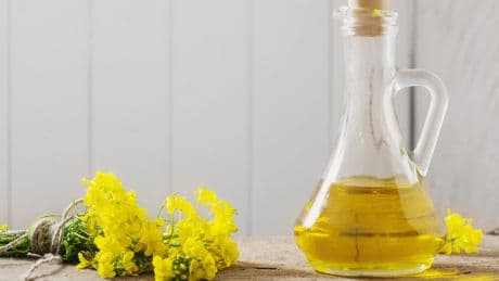 Krebserregend oder gesund? Das sagen Studien zu Rapsöl
