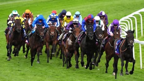 Epsom Derby horse numbers 2025 – full list of runners and riders for 3.30 showpiece