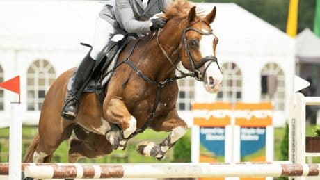 „Missverständnisse und Unsicherheiten“: Warum das Lobbericher Reitsportfestival kurzfristig abgesagt wird