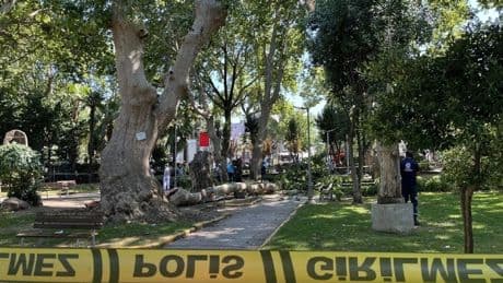 Kocaeli'de üzerlerine ağaçtan dal düşen 1 kişi öldü, 2 kişi yaralandı