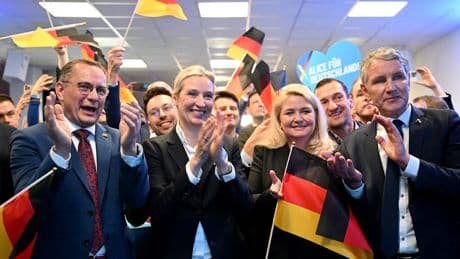 Deshalb wird die Partei gewählt - Brisante Umfrage lässt AfD jubeln