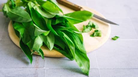 Bärlauch: Wie gesund ist das beliebte Kraut wirklich?