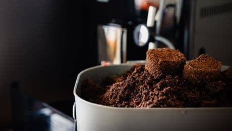 Kaffeesatz nicht wegwerfen: Welche Pflanzen ihn lieben