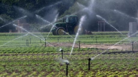 Canicule en Europe: l'agriculture paie durement les fortes chaleurs