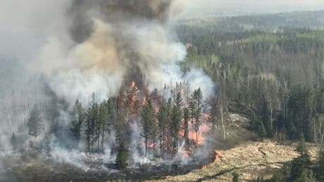 Mehr als 17.000 Menschen im Zentrum Kanadas wegen heftiger Waldbrände evakuiert