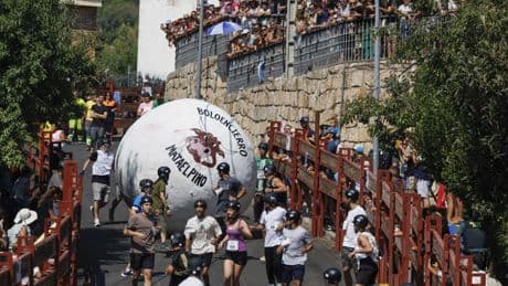 Correr delante de una bola de 300 kilos, alternativa a los encierros taurinos